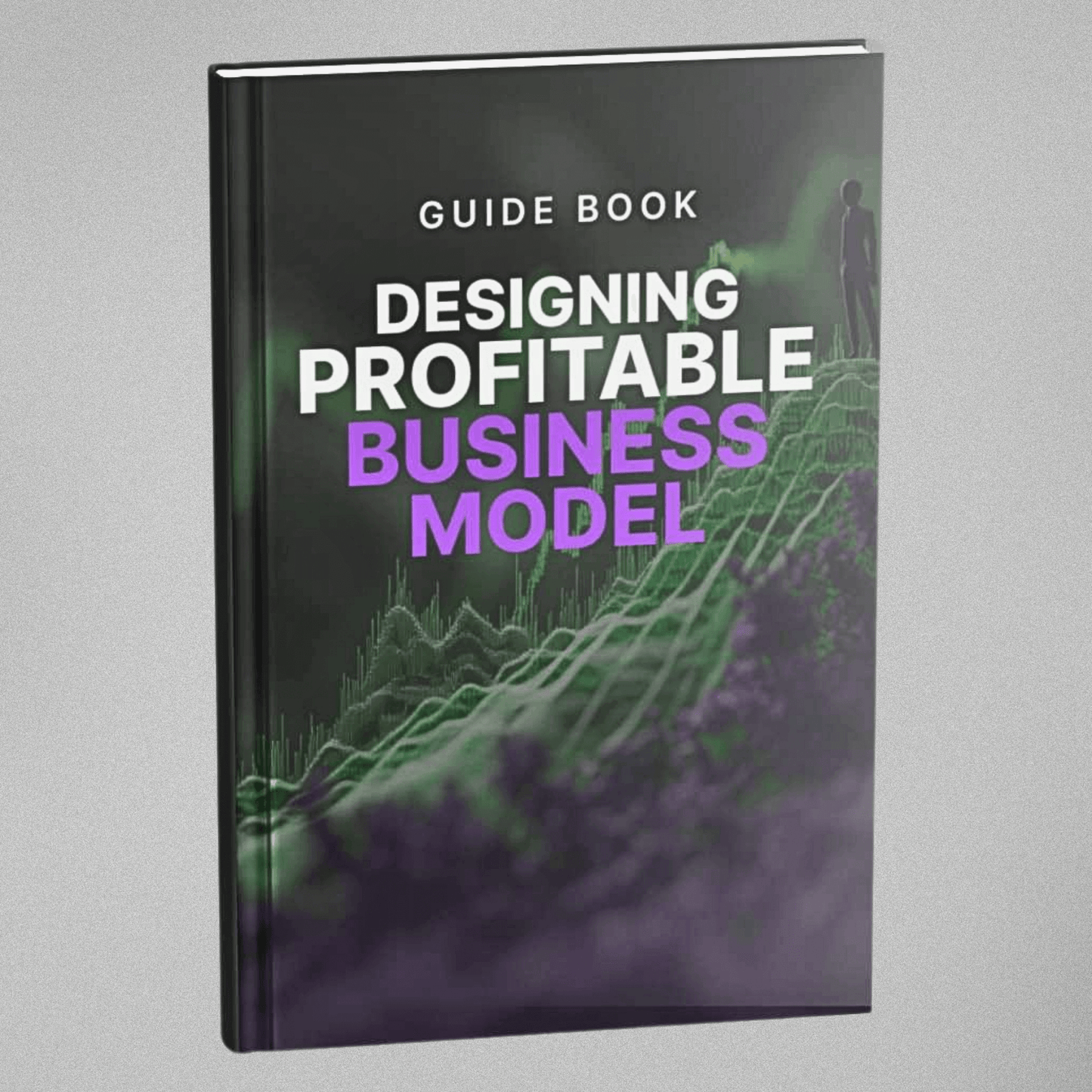 Designing a Profitable Business Model - Guidebook
