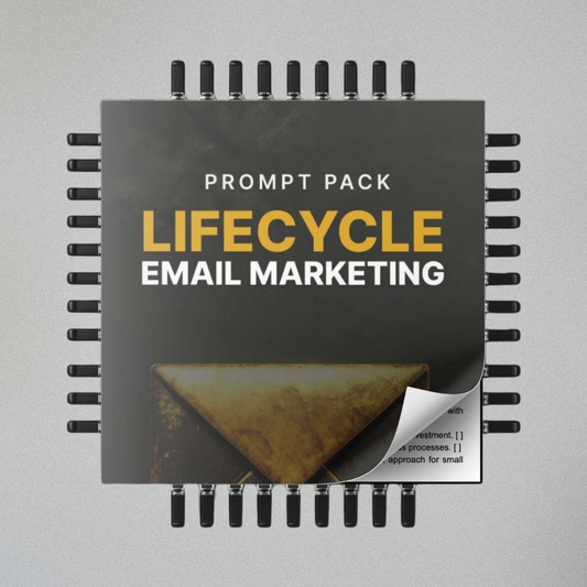 Lifecycle Email Marketing - Prompts