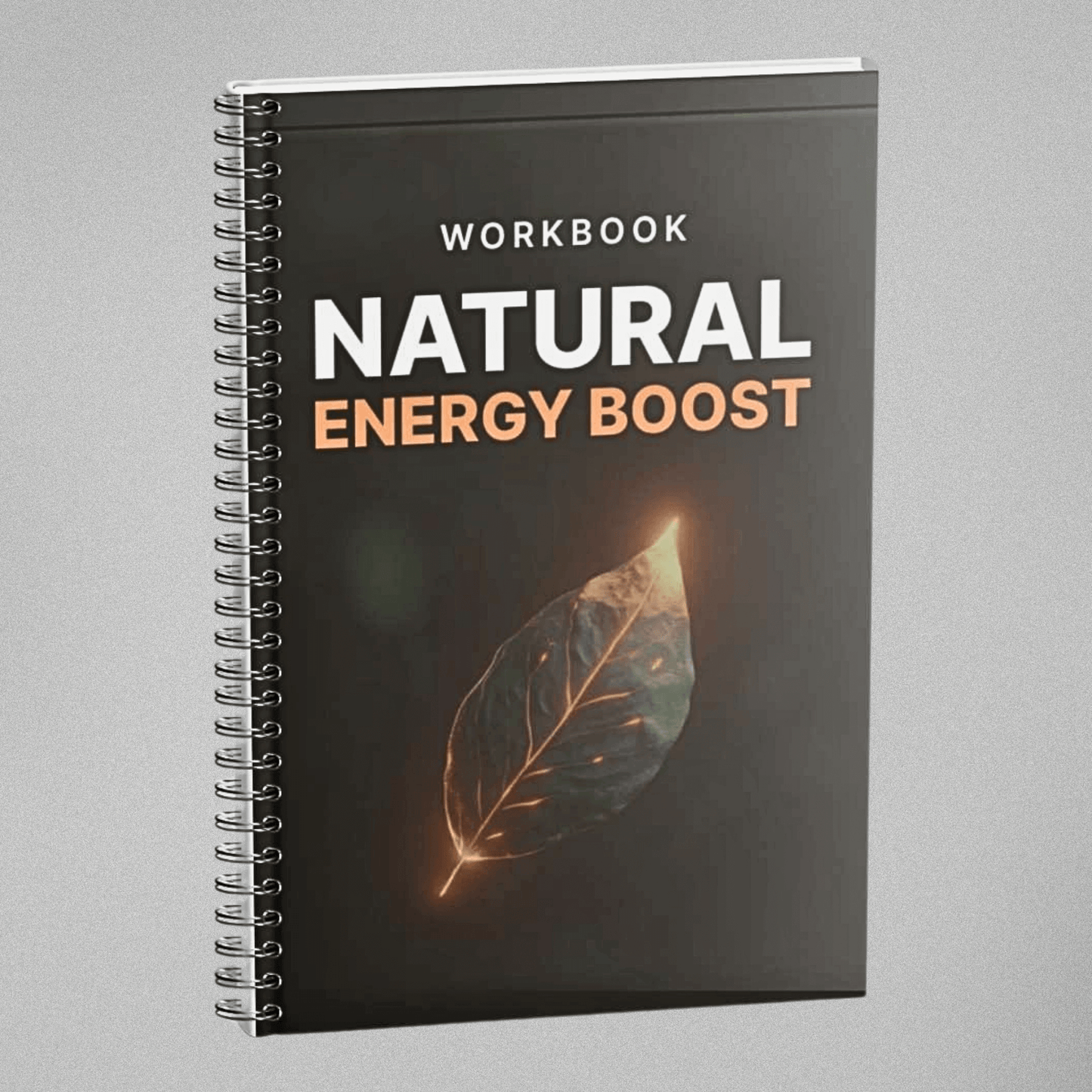 Natural Energy Boost - Workbook