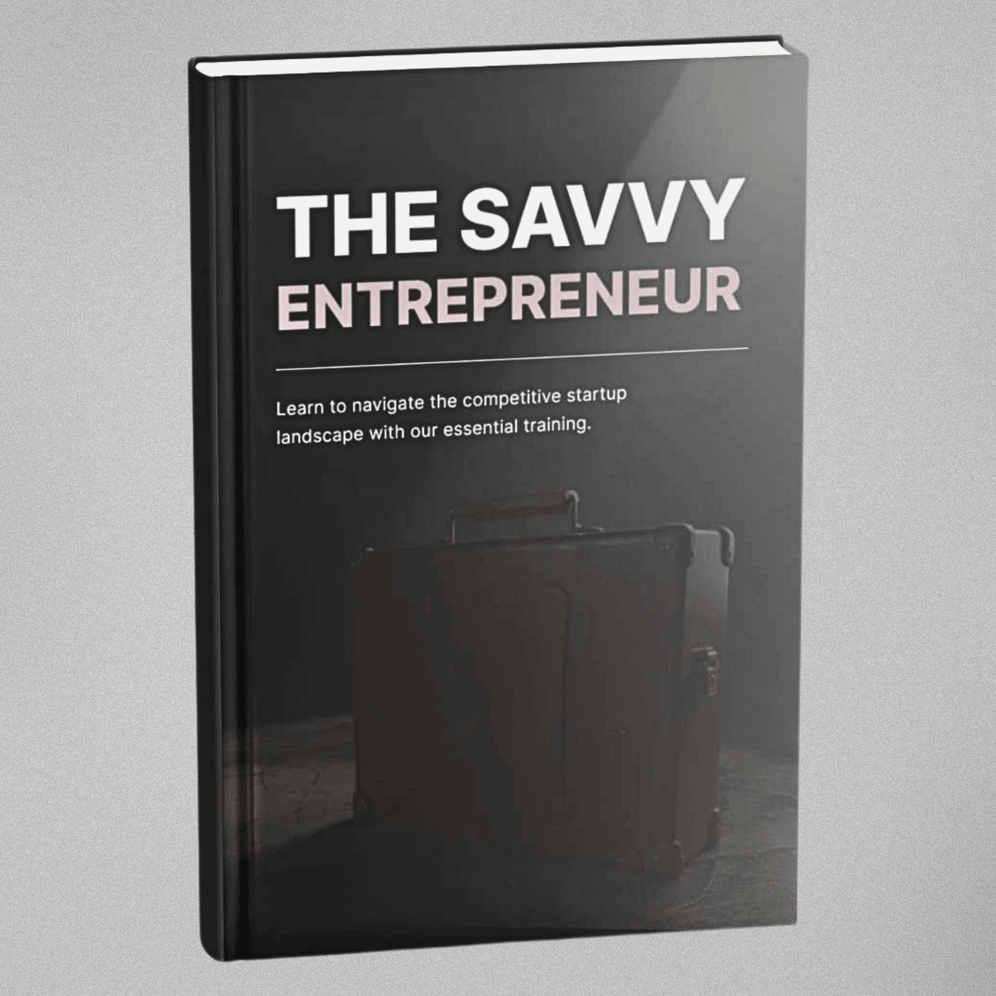 The Savvy Entrepreneur