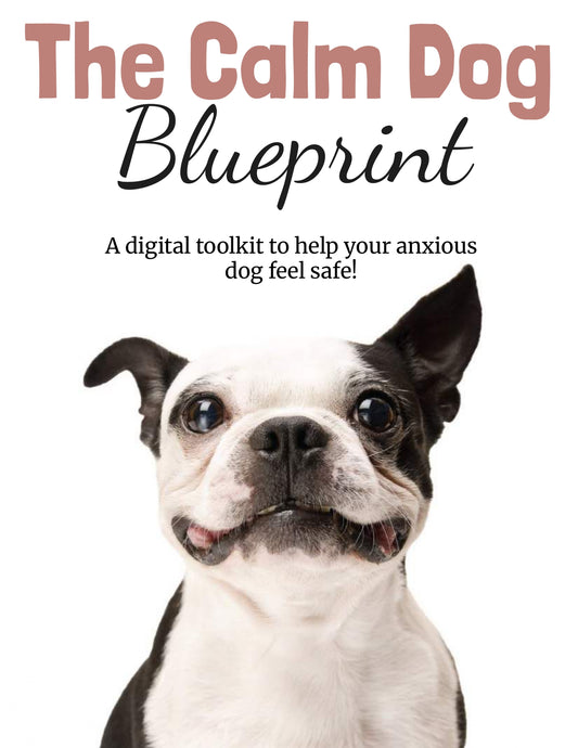 The Calm Dog Blueprint: A Stress-Relief Toolkit for Anxious Dogs