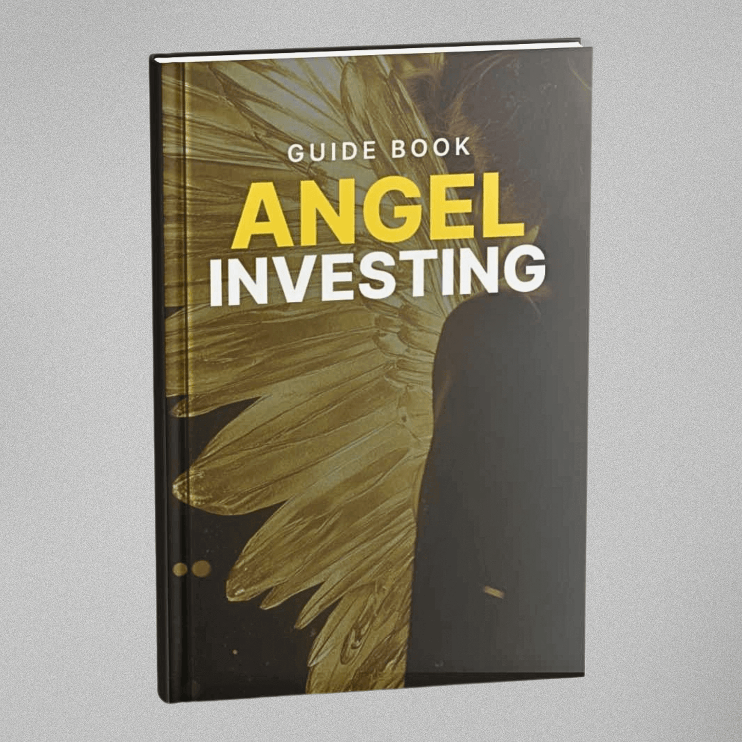 Angel Investing - Guidebook
