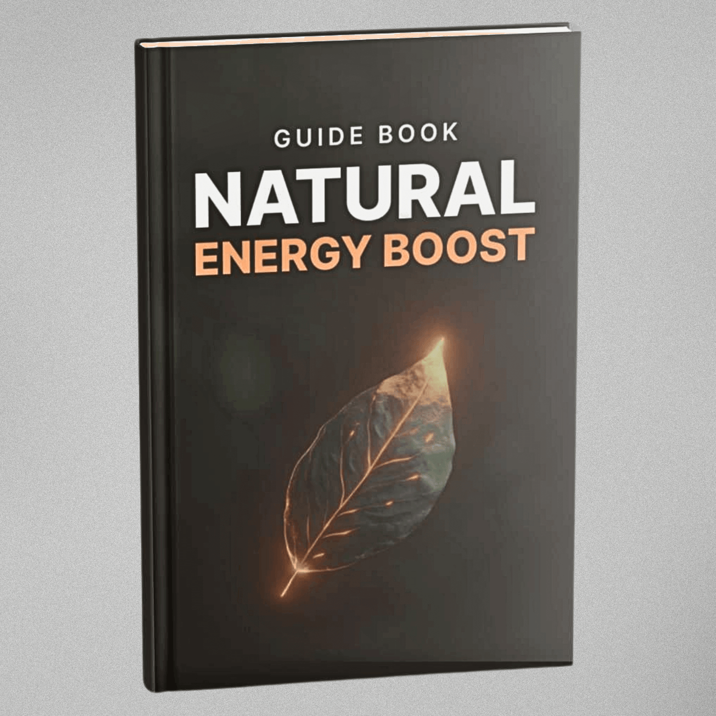 Natural Energy Boost - Guidebook
