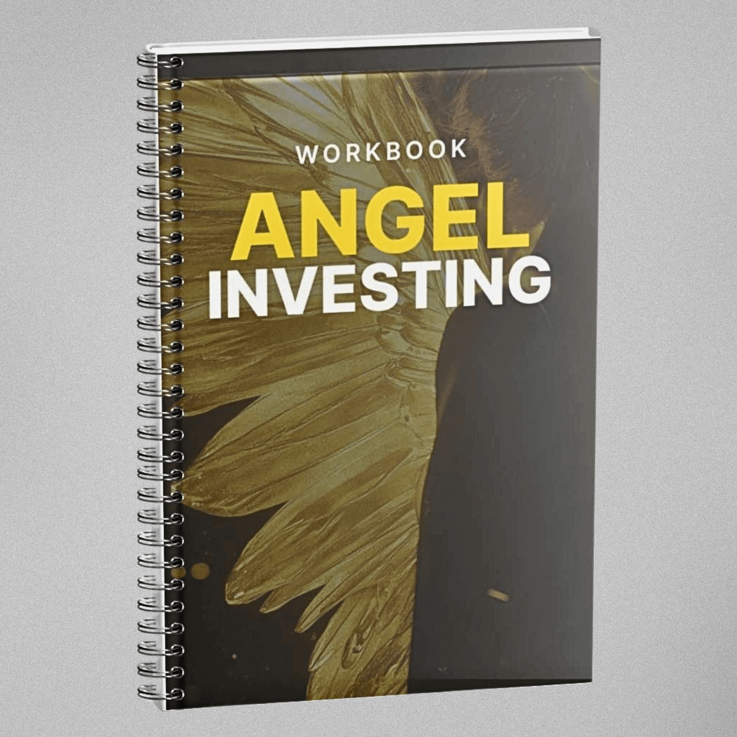 Angel Investing - Workbook