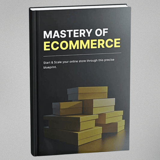 Mastery of Ecommerce